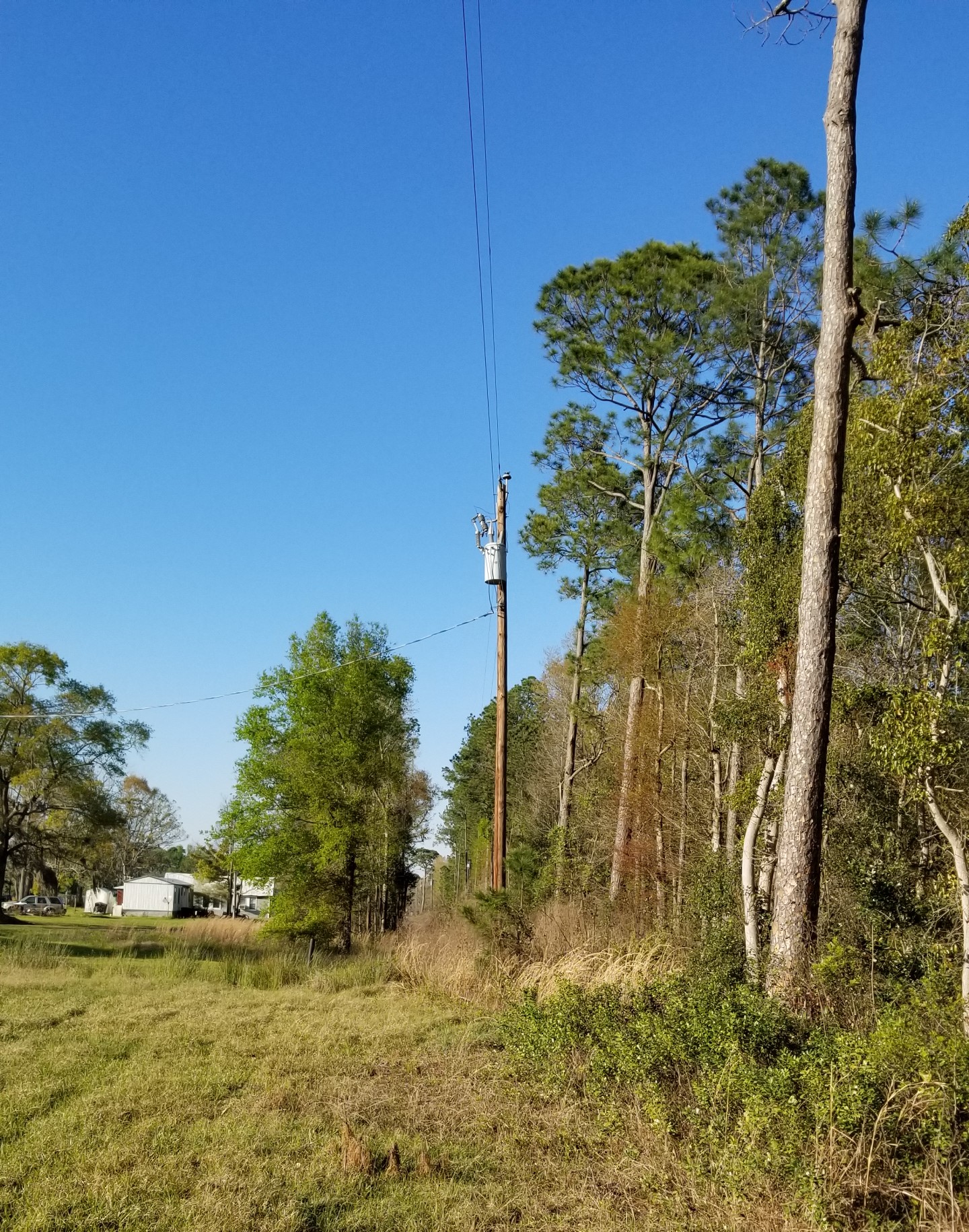 Lawtey, Bradford County, North Central, FL Land For Sale 10 Acres