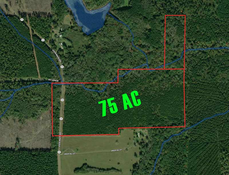 75 Acres Vacant Land in Haynesville, LA (Claiborne Parish