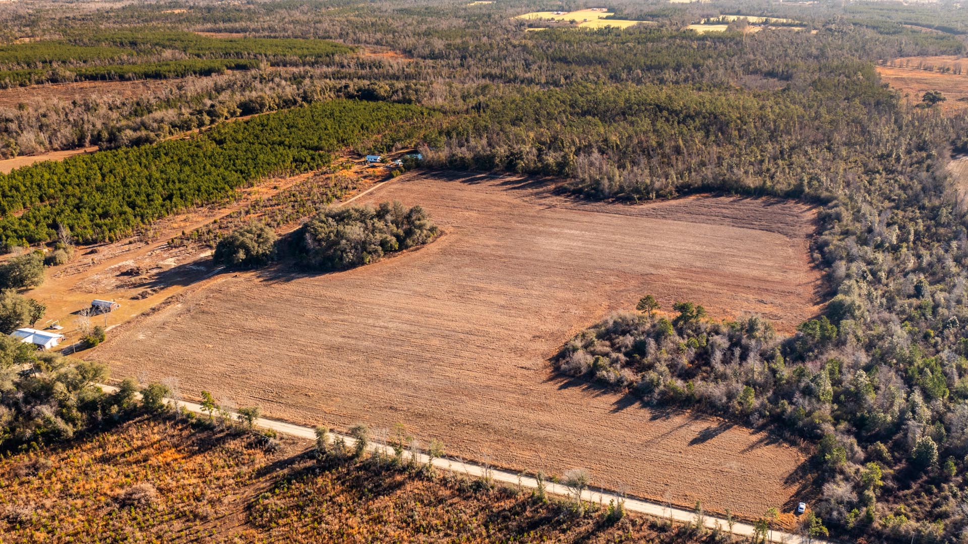 20 Acres Vacant Land in Grand Ridge, FL (Jackson County