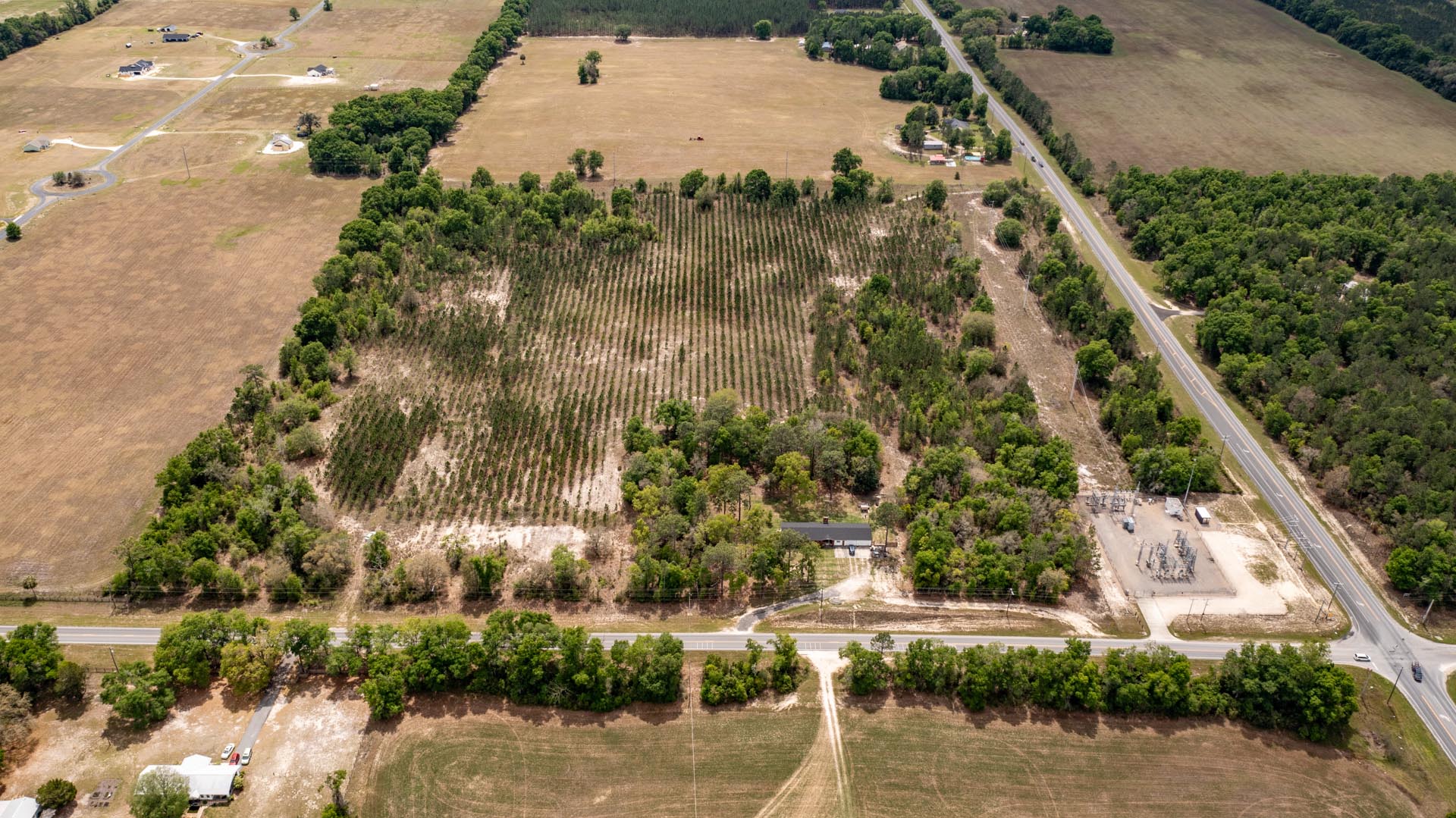 36.8 Acres Vacant Land in Bell, FL (Gilchrist County)