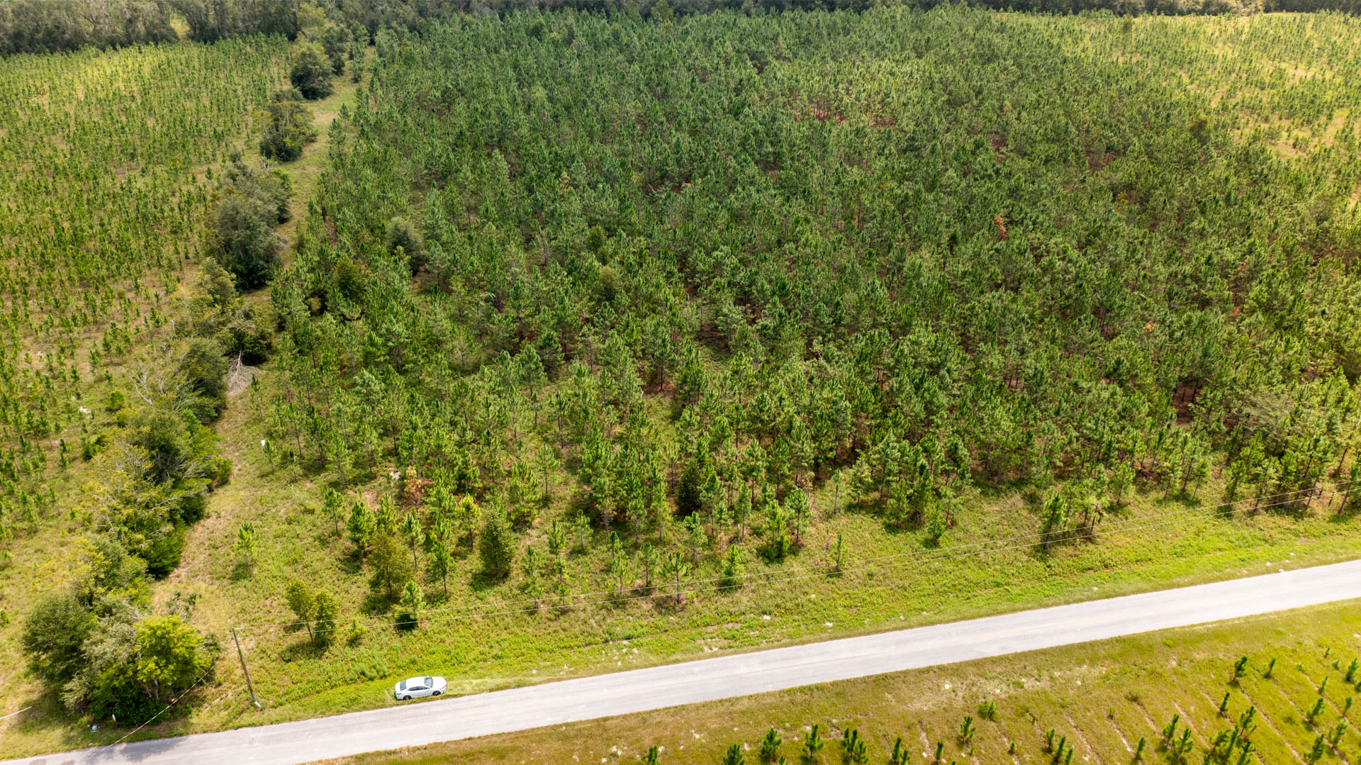 20 Acres Vacant Land in Live Oak, FL (Suwannee County)