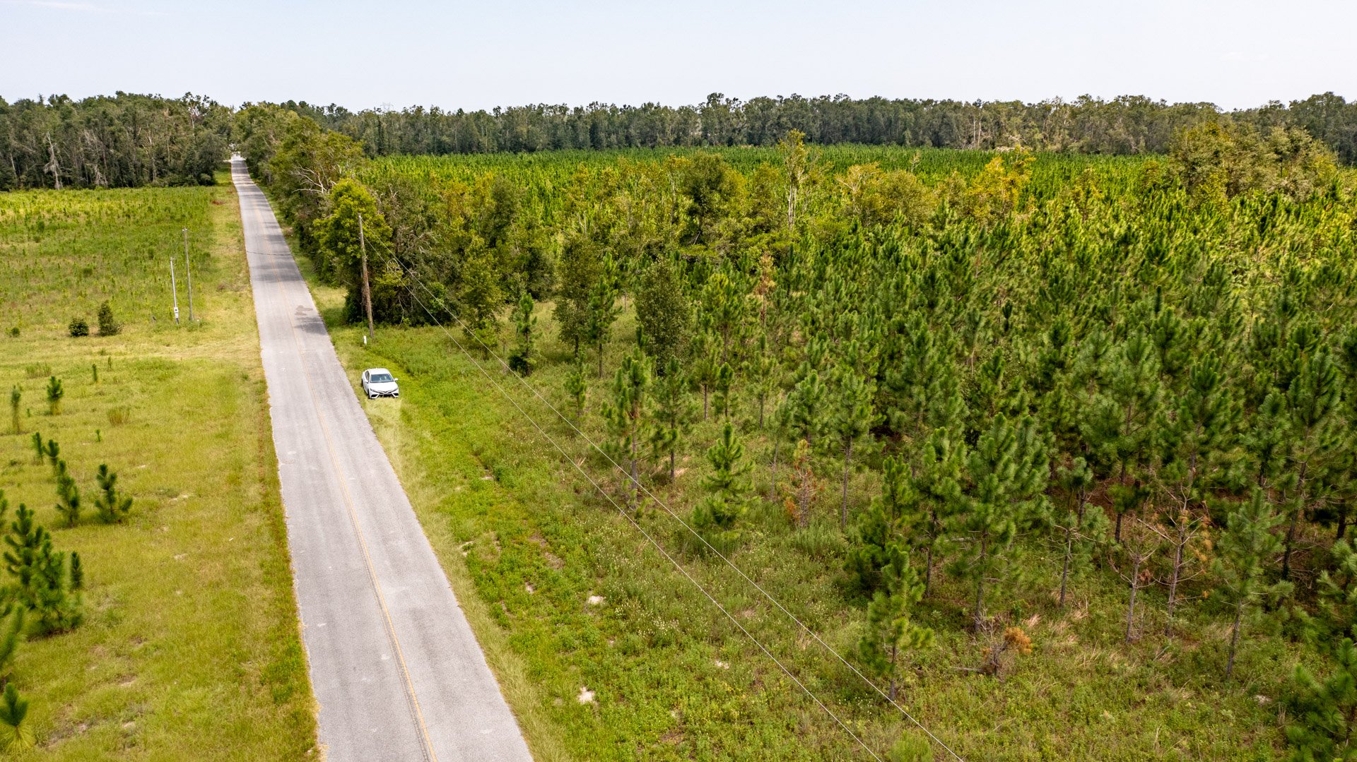 30 Acres Vacant Land in Live Oak, FL (Suwannee County)