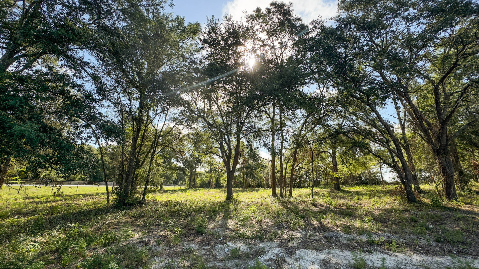 36.8 Acres Vacant Land in Bell, FL (Gilchrist County)