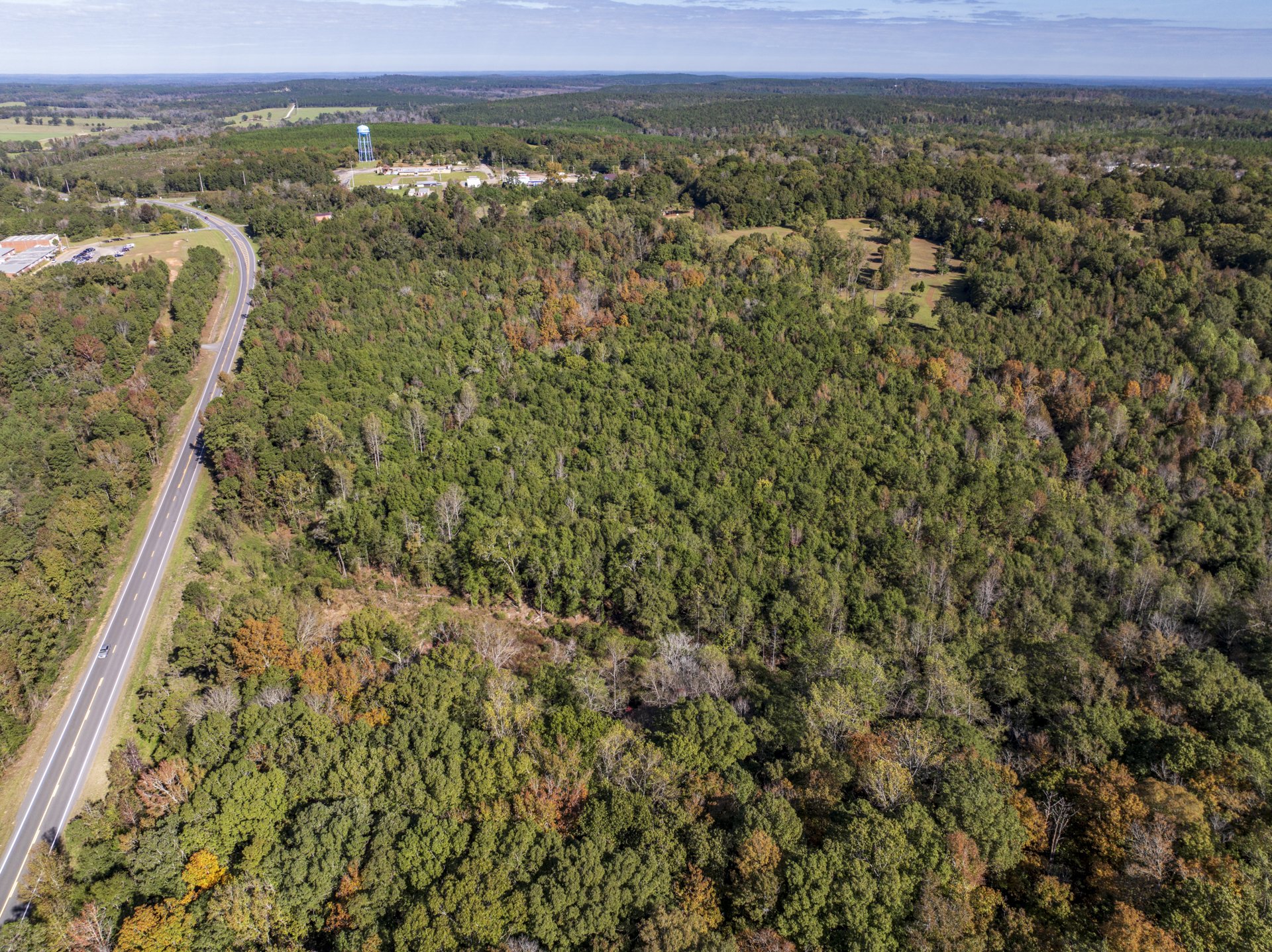 19 Acres Vacant Land in Clayton, AL (Barbour County)