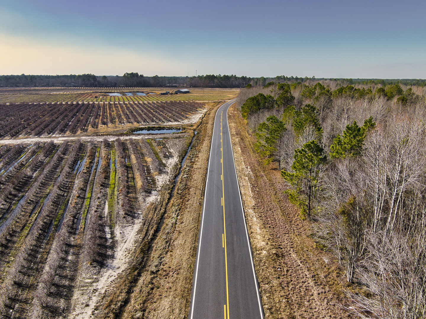 20 Acres Vacant Land in Baxley, GA (Appling County)