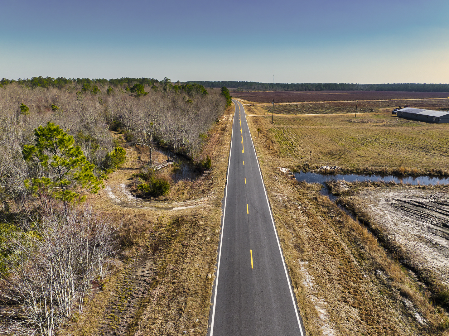 48.3 Acres Vacant Land in Baxley, GA (Appling County)