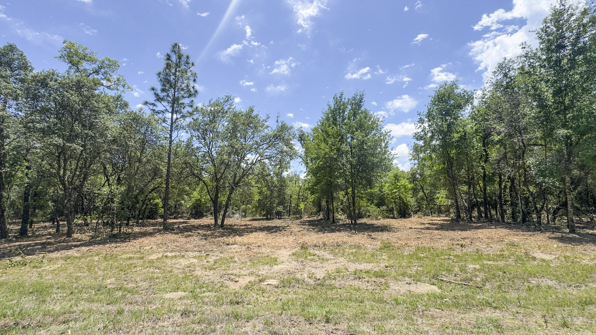 32 Acres Vacant Land in Williston, FL (Levy County)