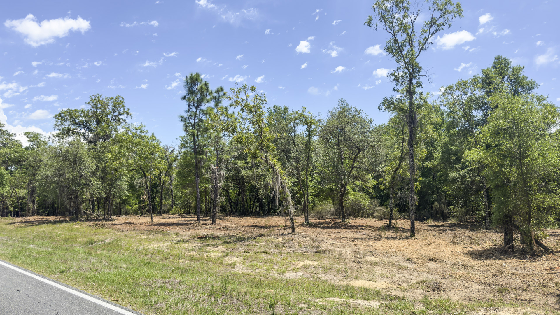 78 Acres Vacant Land in Williston, FL (Levy County)