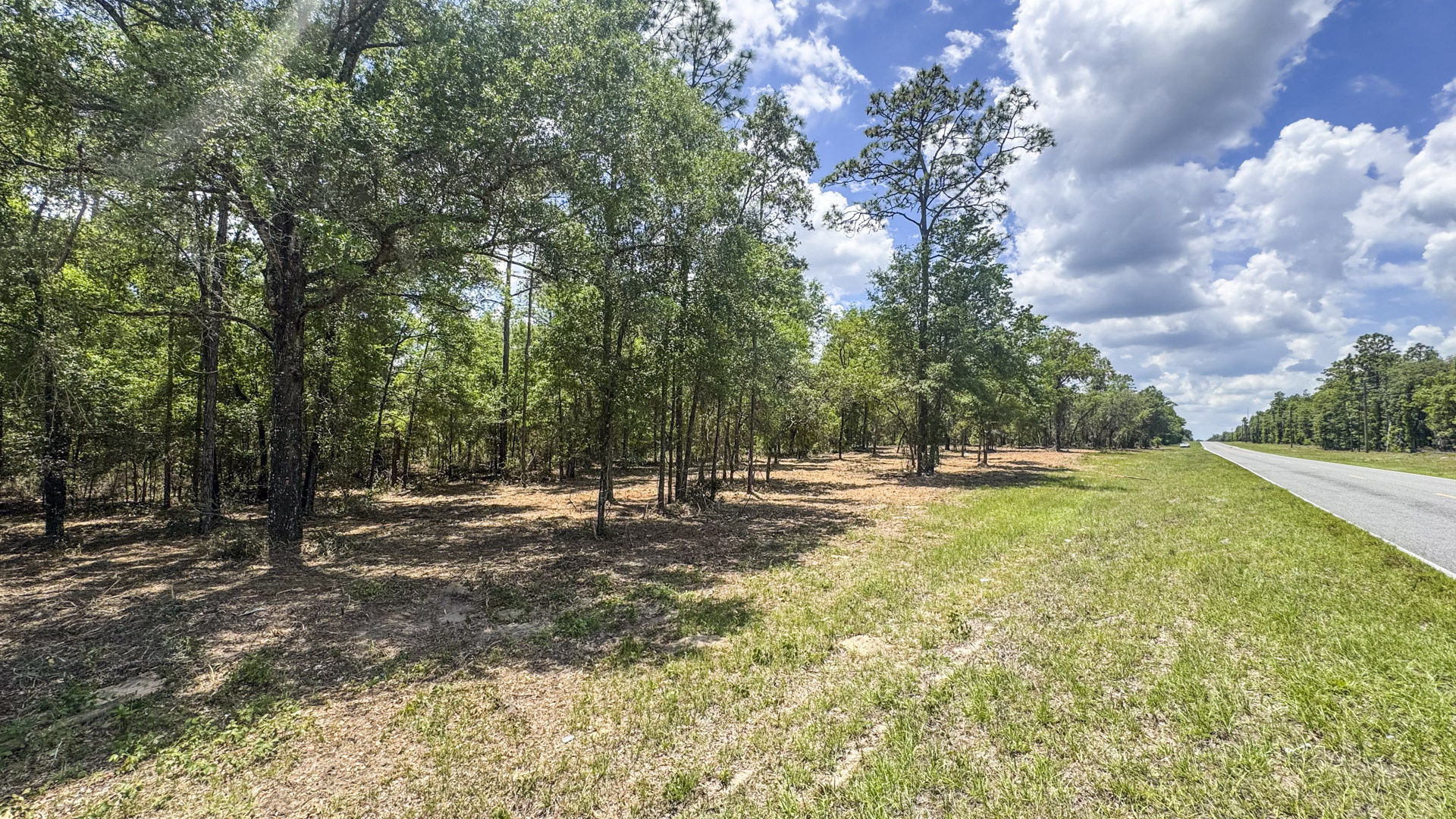 40 Acres Vacant Land in Williston, FL (Levy County)